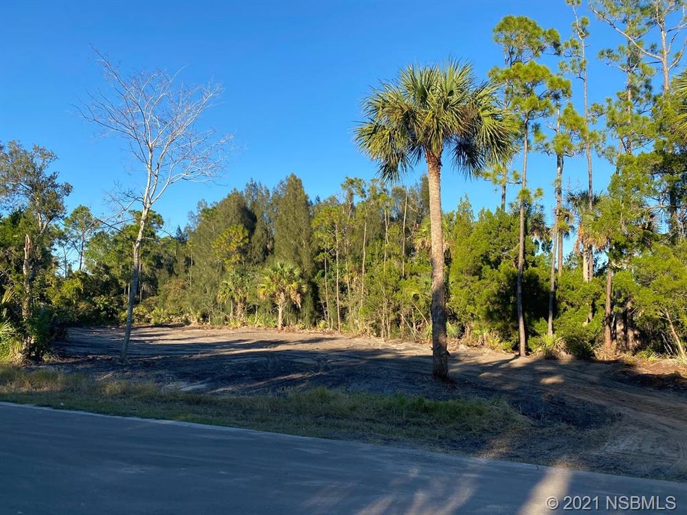 2795 Sunset Drive, New Smyrna Beach, FL 32168 BHGRE