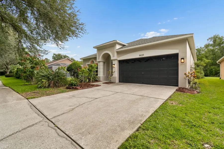 19029 Chemille Drive, Lutz, FL 33558 - #2