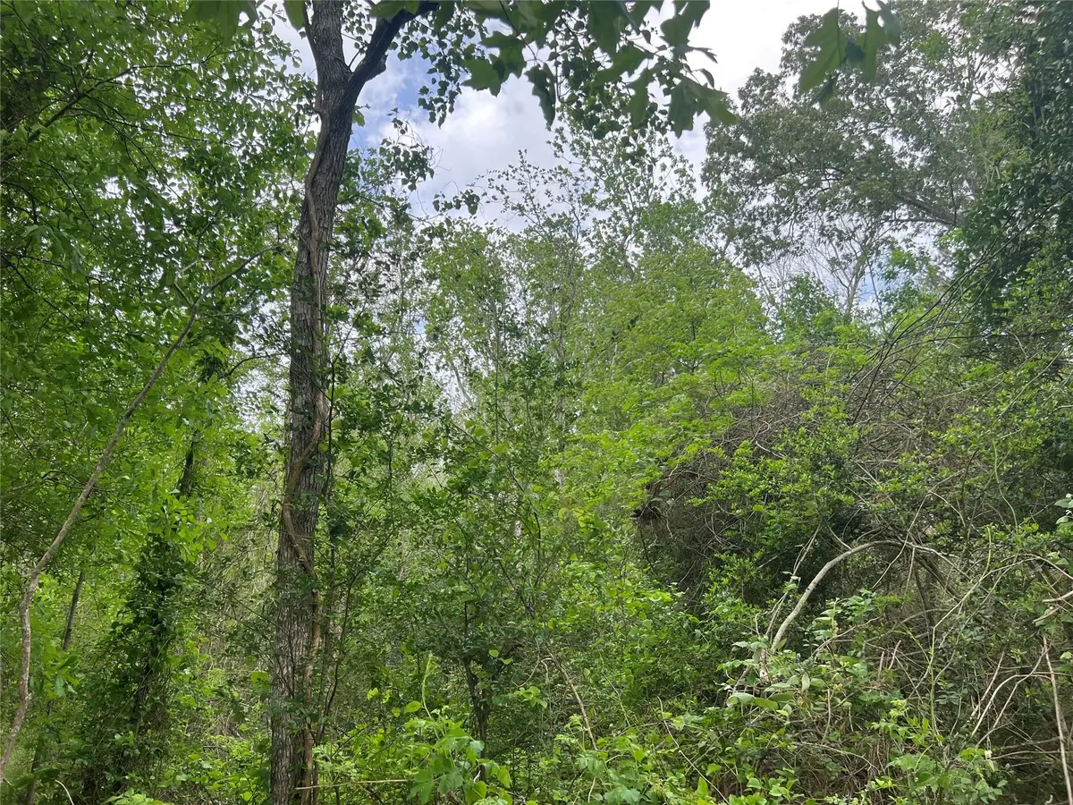 000 Cemetery Road, Ames, TX 77575 - #1