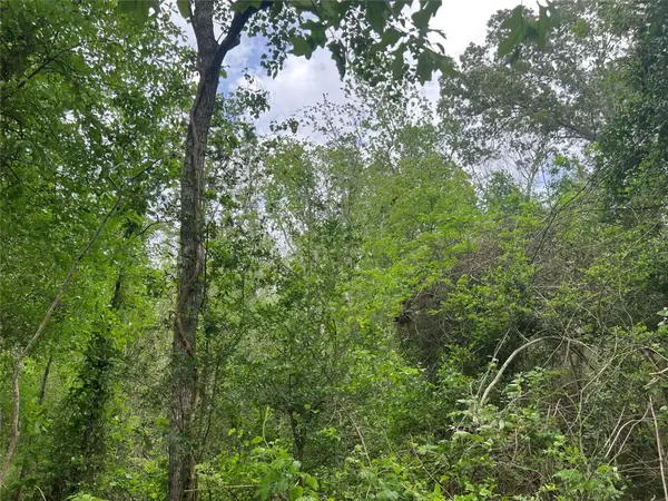 000 Cemetery Road, Ames, TX 77575