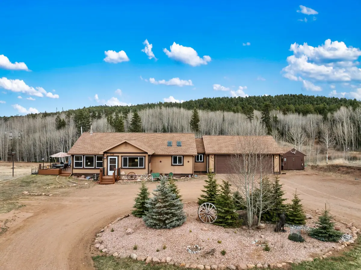 689 Divide South Drive, Divide, CO 80814 - #1