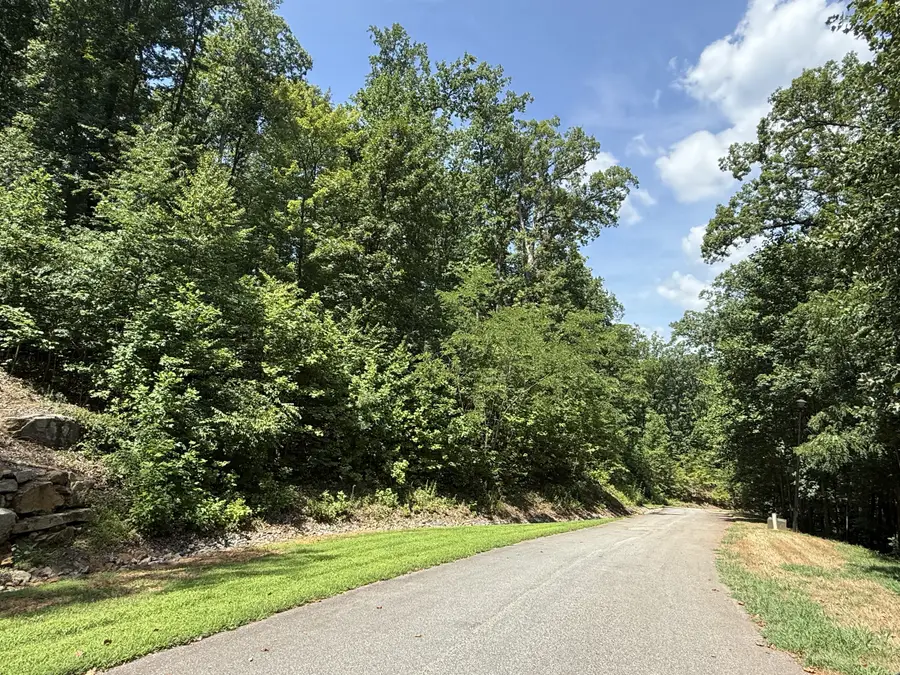 0 High Pines Loop #151, Lake Lure, NC 28746 - Image #2