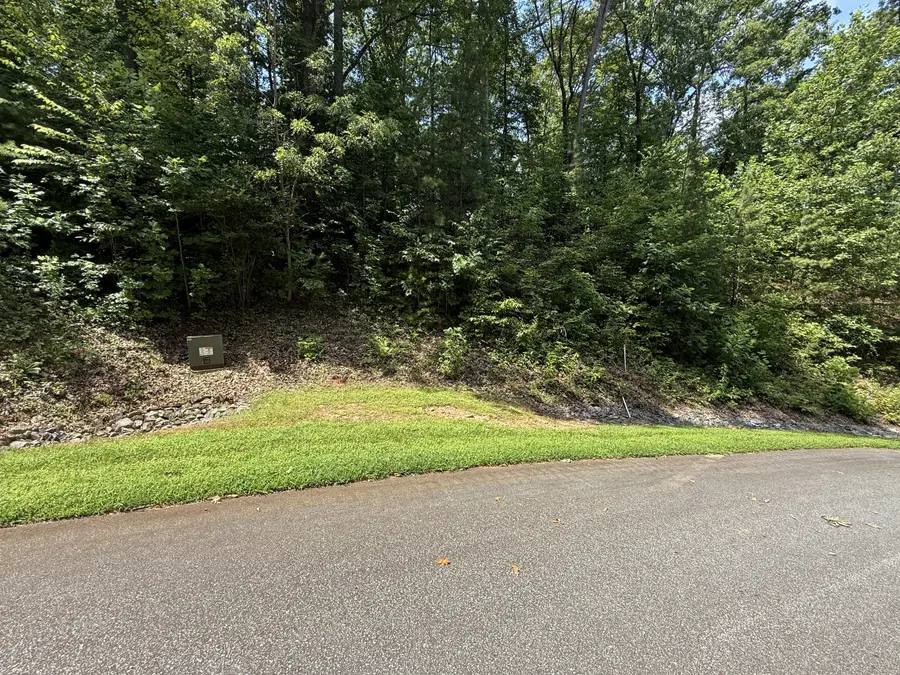 0 High Pines Loop #151, Lake Lure, NC 28746 - Image #3