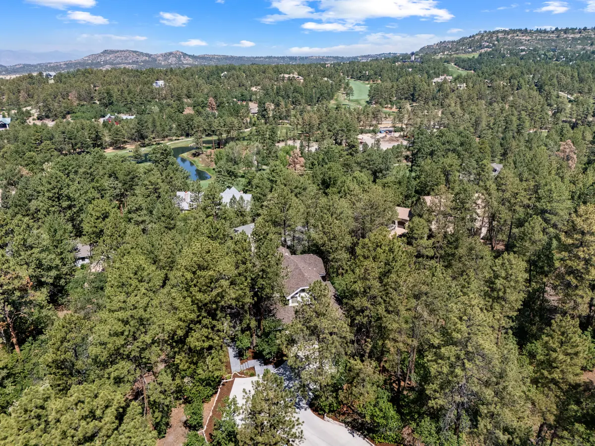 347 Silver Cloud Place, Castle Rock, CO 80108 - #1