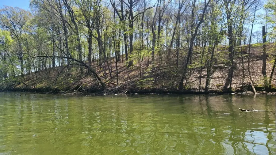 26 Highland Cove, Florence, AL 35630 - #2