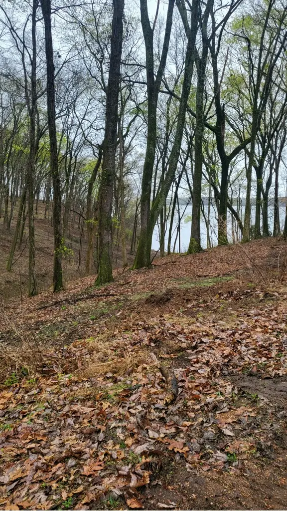 26 Highland Cove, Florence, AL 35630 - #3