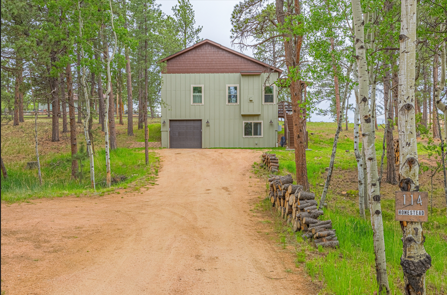 114 Homestead Lane, Florissant, CO 80816 - #3