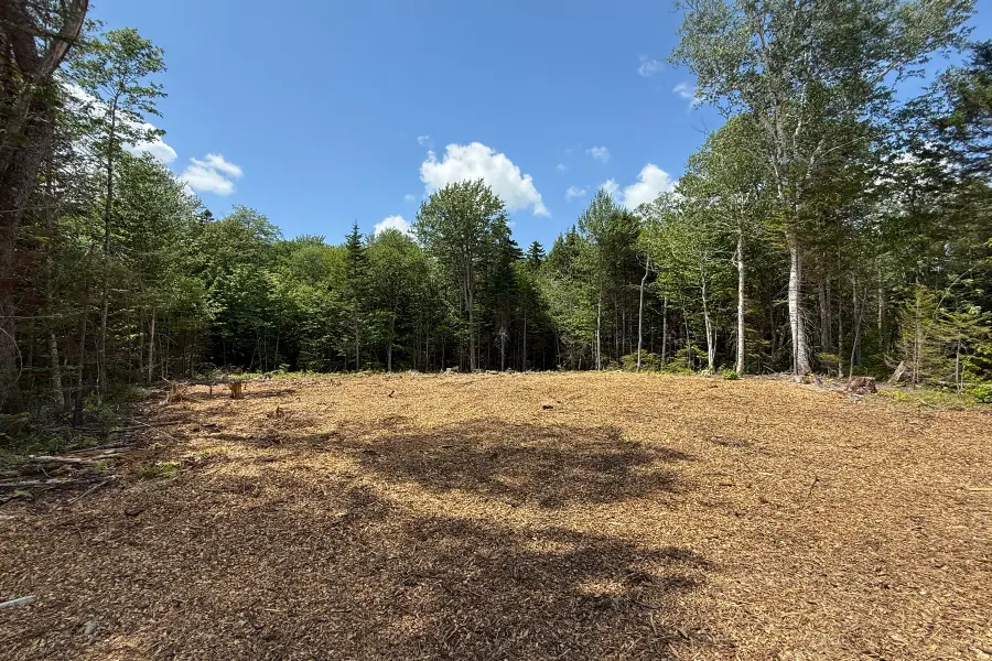 Lot 4 Old Mill Crossing, Wilmington, VT 05363 - #3