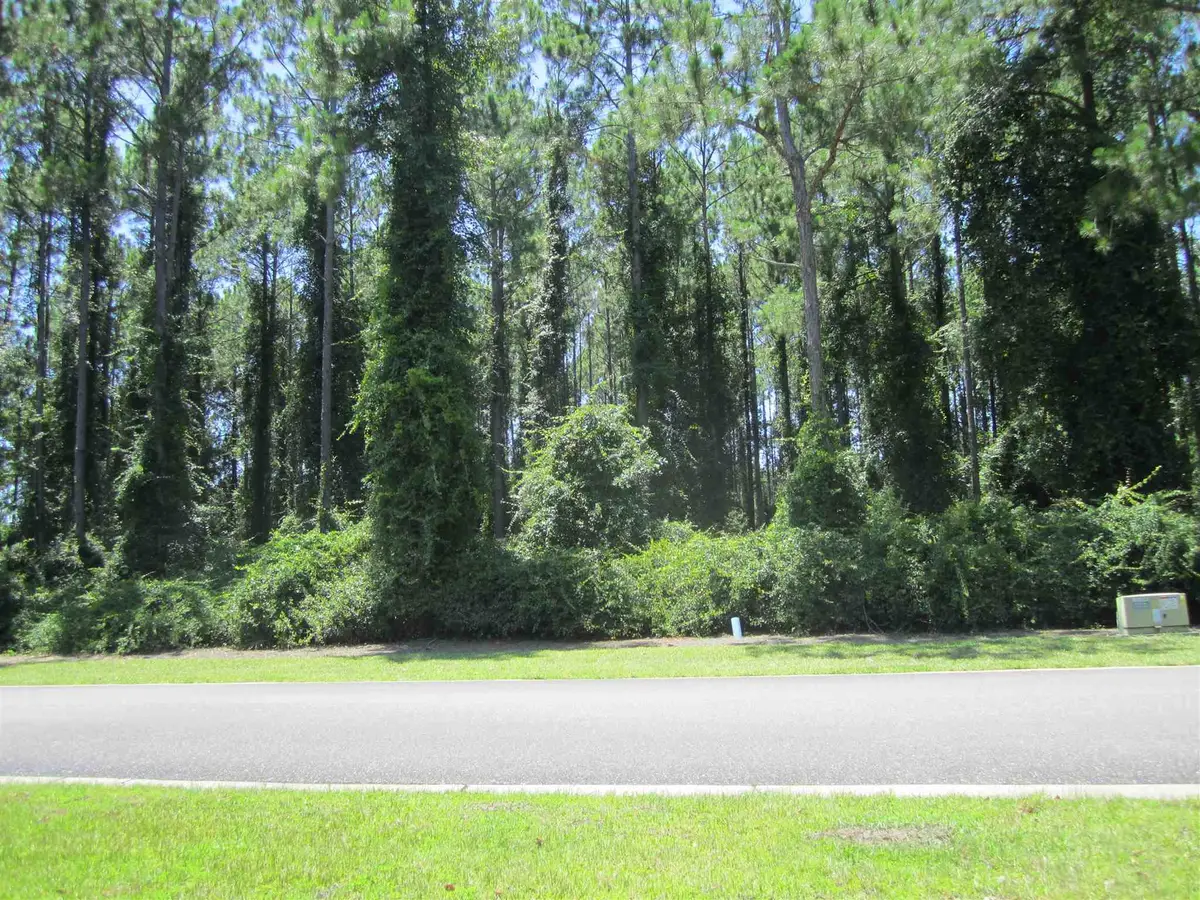 V/L 81, 306 Cumberland Harbour Boulevard, Saint Marys, GA 31558 - #1
