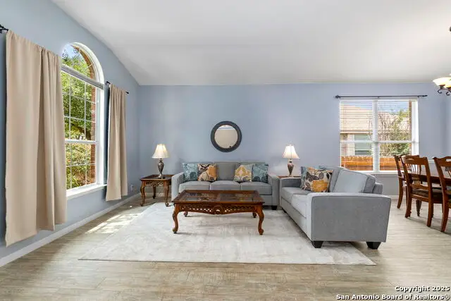 23003 Tornillo Drive, San Antonio, TX 78258 - #3