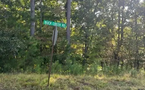 LT 33 Buck Creek Road, Ellijay, GA 30540 - #1