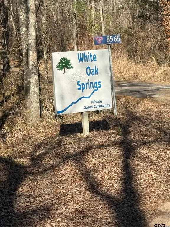 310 Private Road 8570, Winnsboro, TX 75494 - #1