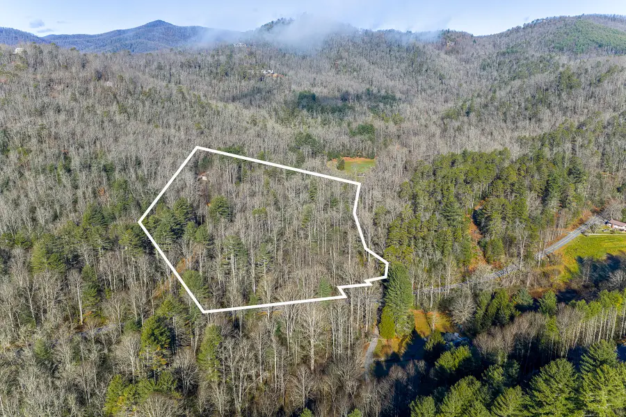 649 Old Nc 280 Highway, Pisgah Forest, NC 28768 - #2
