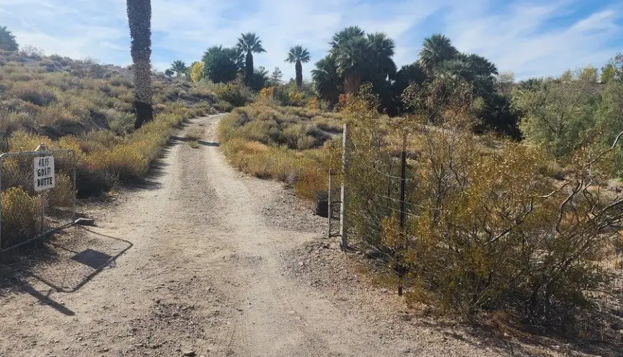 Gold Butte Road, Clark, NV 89007 - #1