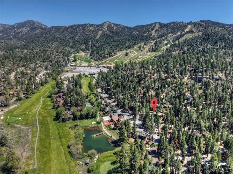 42979 Fern Avenue, Big Bear, CA 92315 - #3