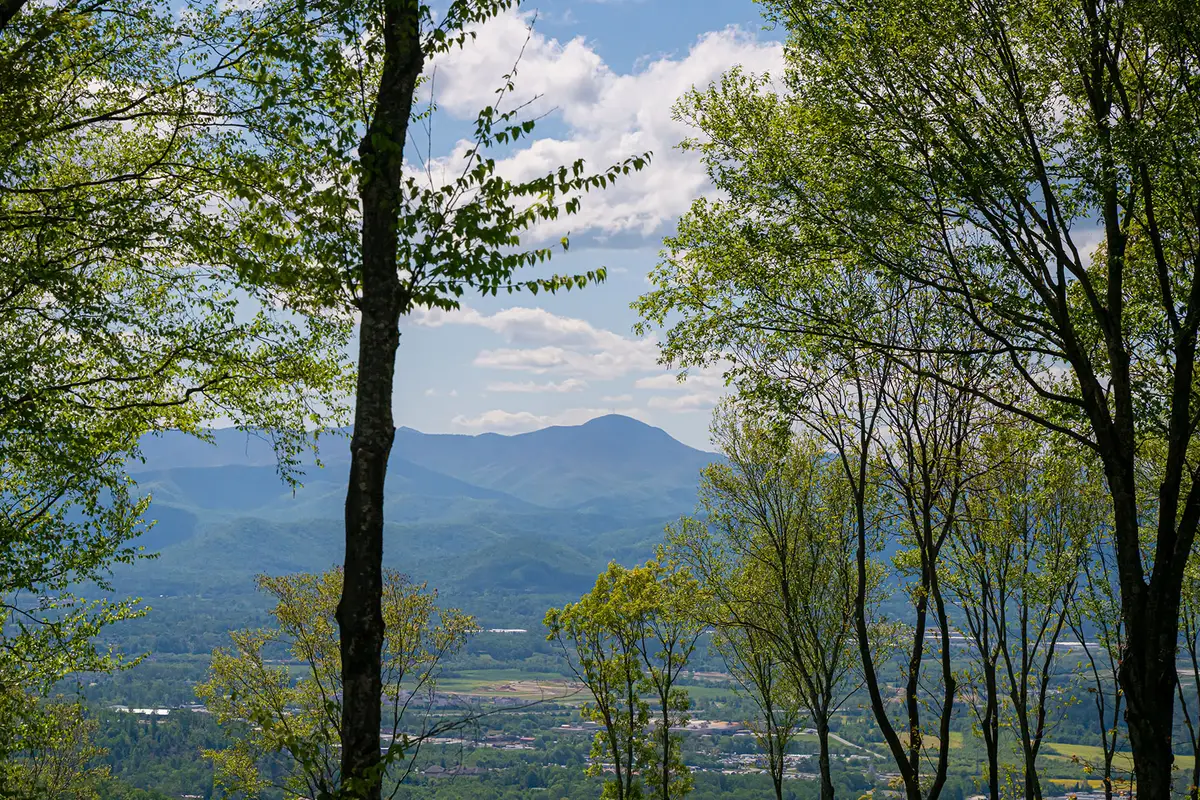000 Laurel Ledge Way #23, Fletcher, NC 28732 - #1