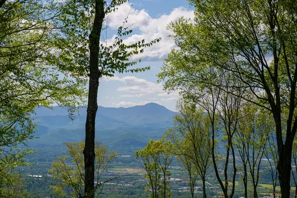 000 Laurel Ledge Way #23, Fletcher, NC 28732
