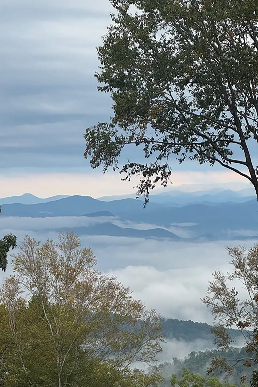 000 Laurel Ledge Way #23, Fletcher, NC 28732 - #2