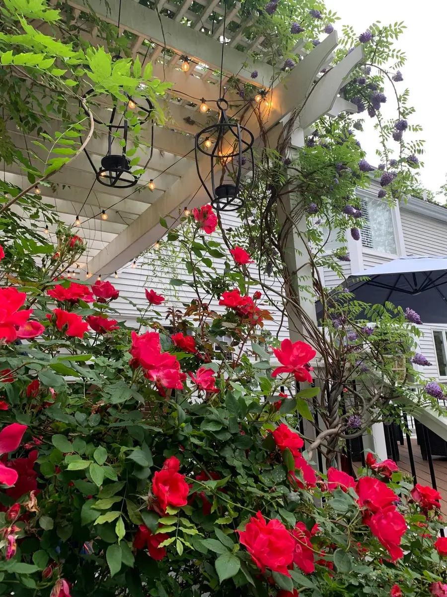 8812 Surrey Ct, Alexandria, VA 22309 - #3