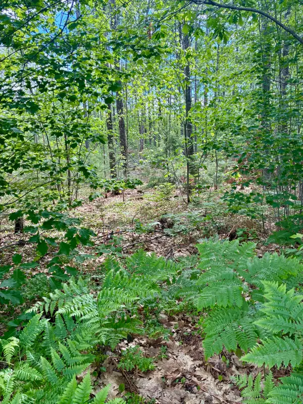 Lot 16 (1) Whittier Road, Farmington, ME 04938