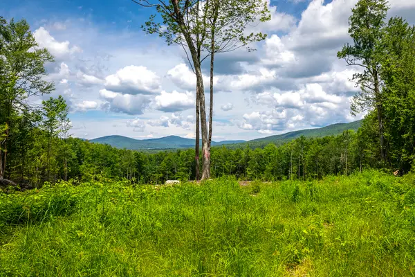 00 Little Pond Road, Andover, VT 05143