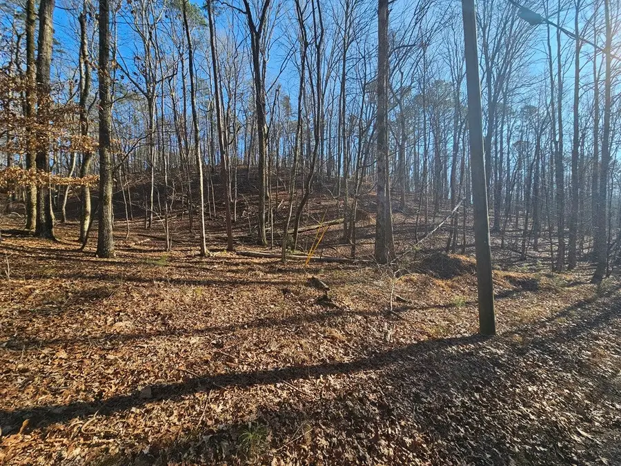 Diamondhead, Burneyville, OK 73430 - #2
