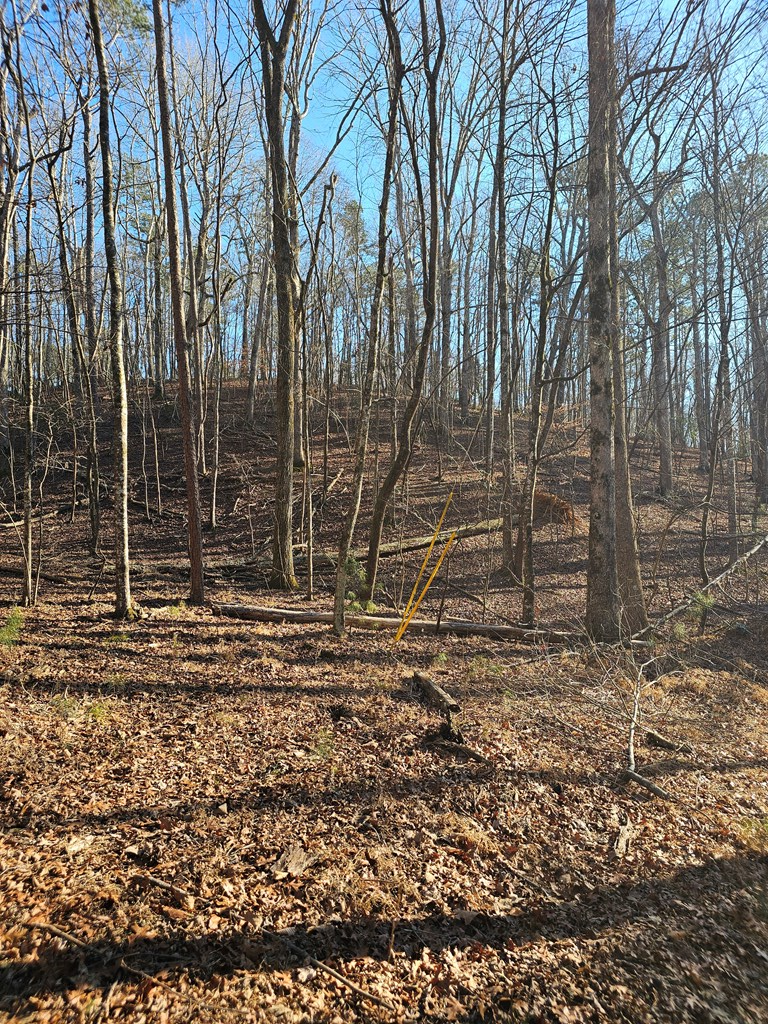 Diamondhead, Burneyville, OK 73430 - #3