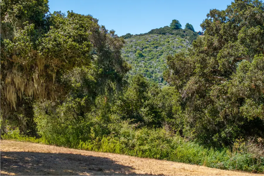 4 Goodrich Trail (lot E13), Carmel, CA 93923 - #2