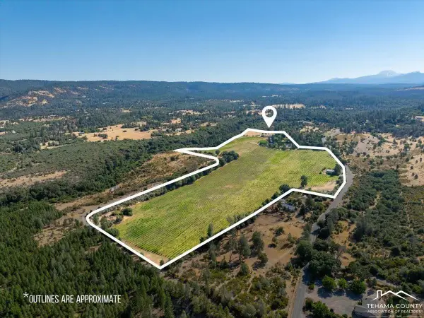 31630 Forward Rd., Manton, CA 96059