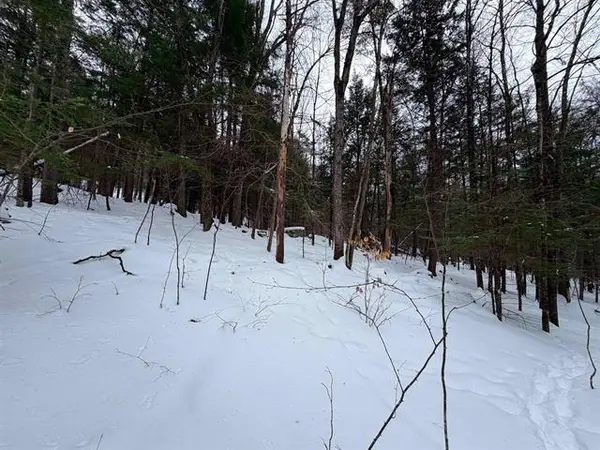 0 Town House Road #28, Cornish, NH 03745