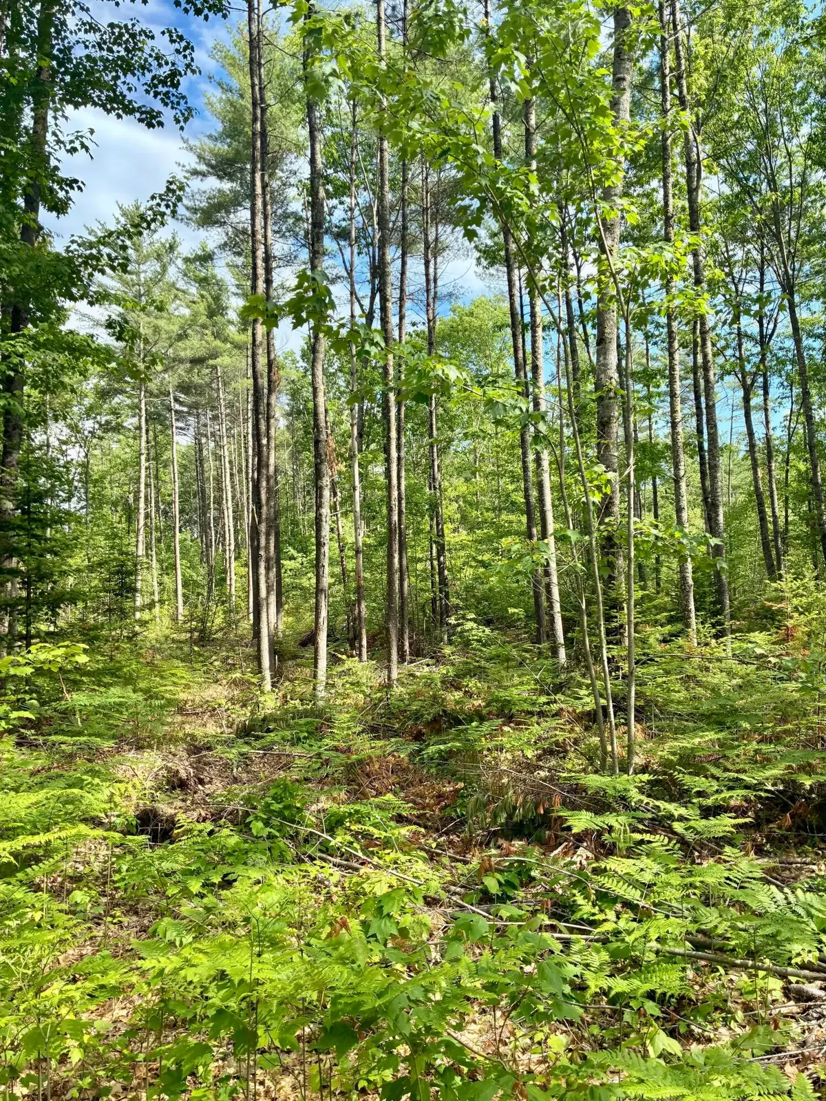 Lot 16 (2) Whittier Road, Farmington, ME 04938 - #1