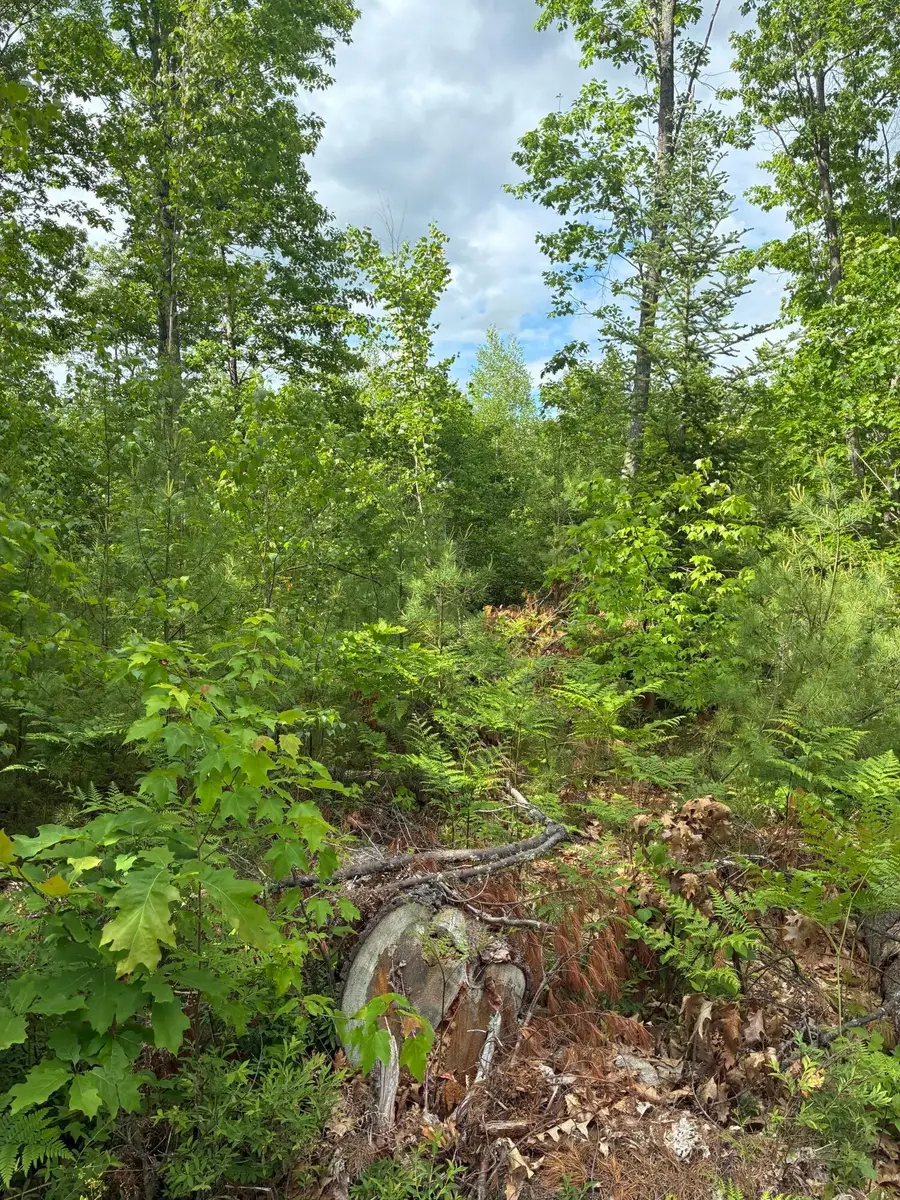 Lot 16 (2) Whittier Road, Farmington, ME 04938 - #3