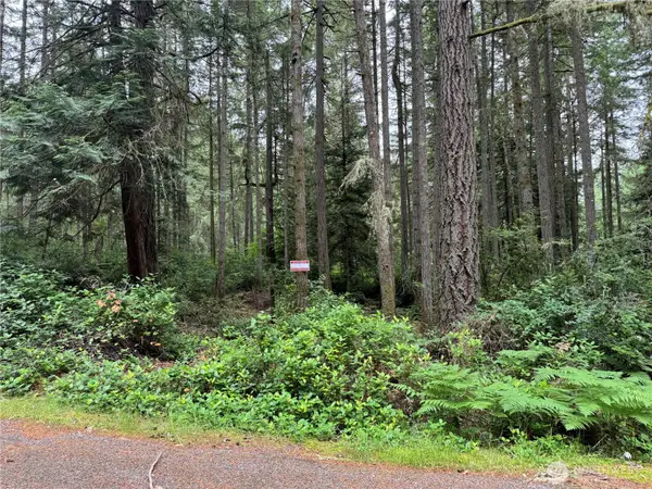 11308 114th Street Ct #115, Anderson Island, WA 98303