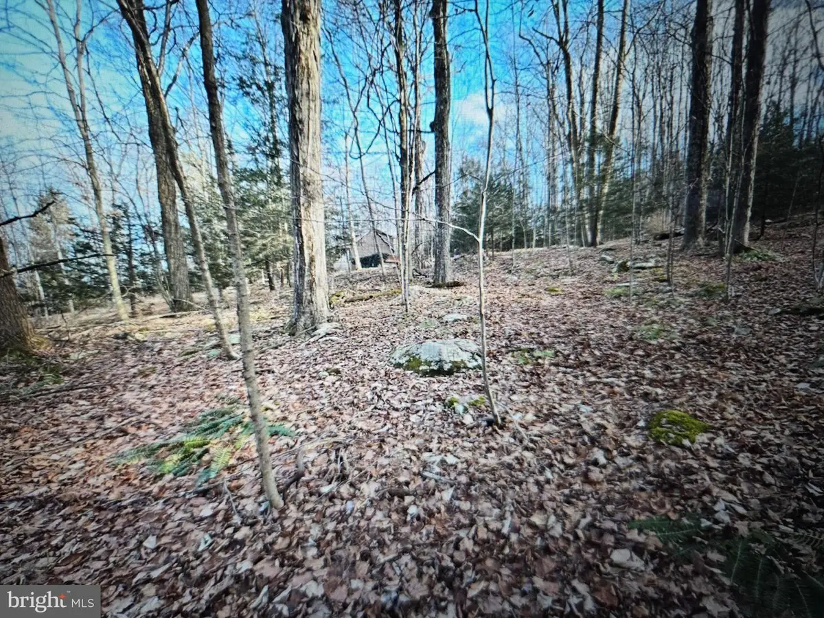 05 Outlet Rd, Harveys Lake, PA 18618 - #1