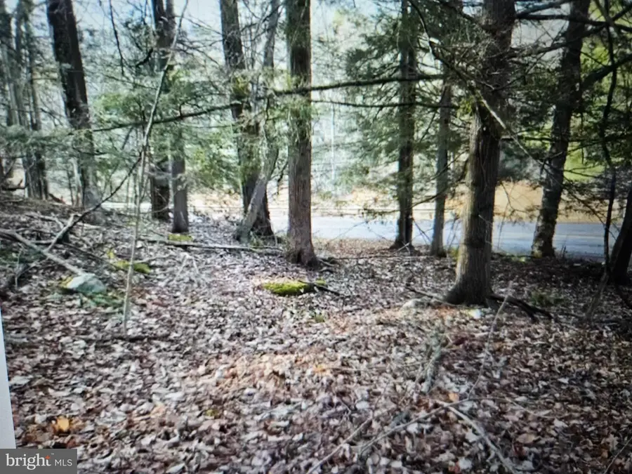 05 Outlet Rd, Harveys Lake, PA 18618 - #2