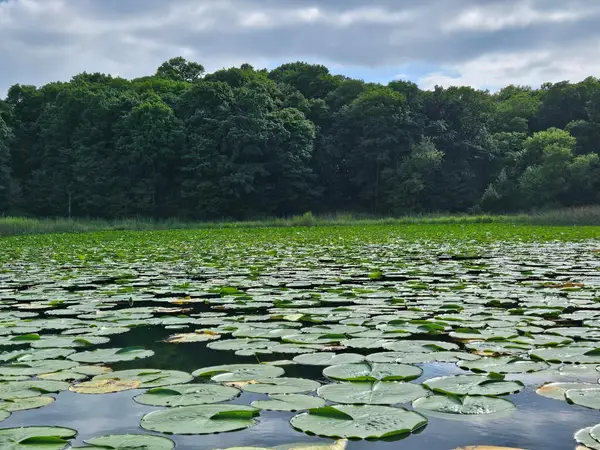 TBD Valley Lane Sw, Farwell, MN 56327