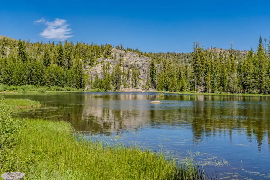 1 Magonigal Road, Soda Springs, CA 95728 - #3