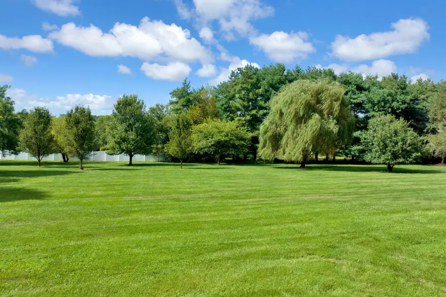 5 Tamar Court, Manalapan Township, NJ 07726 - Image #3