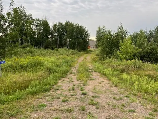 xxx240tha Olympic Street, Brook Park, MN 55007 - #3