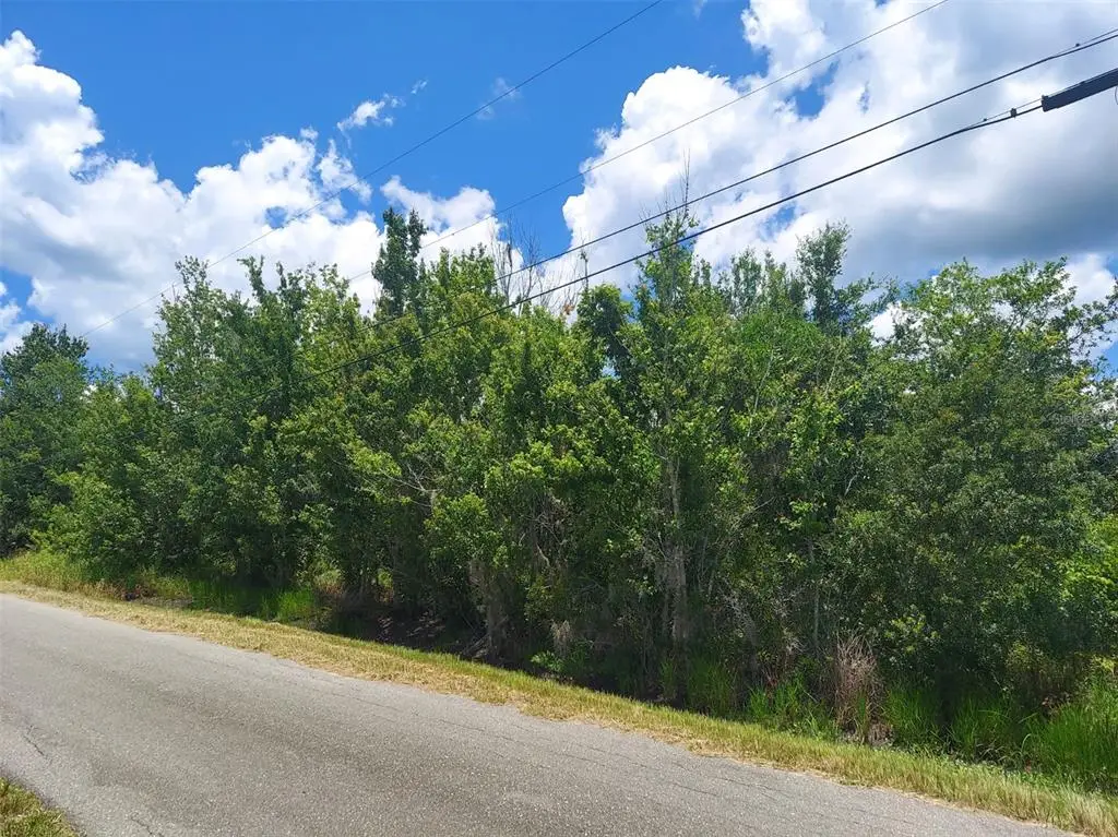 5410 Bob Smith Avenue, Plant City, FL 33565 - #1