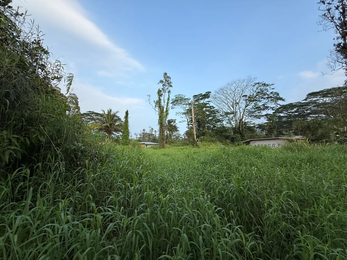 Silversword Ct, Kurtistown, HI 96760 - Image #1