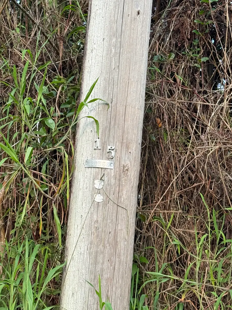 Silversword Ct, Kurtistown, HI 96760 - Image #3