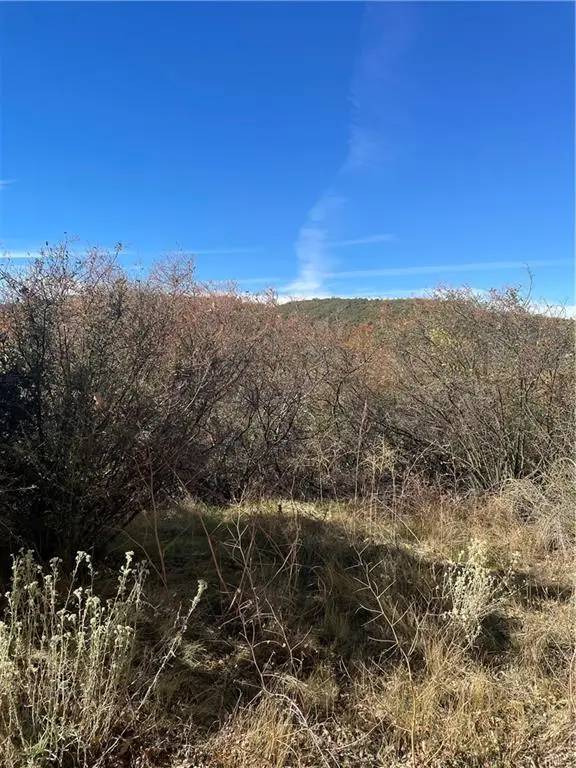 0 Acacia Road, Cedar Glen, CA 92321