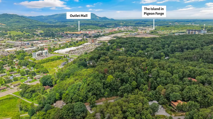 615 Iron Mountain Rd, Pigeon Forge, TN 37863 - #3