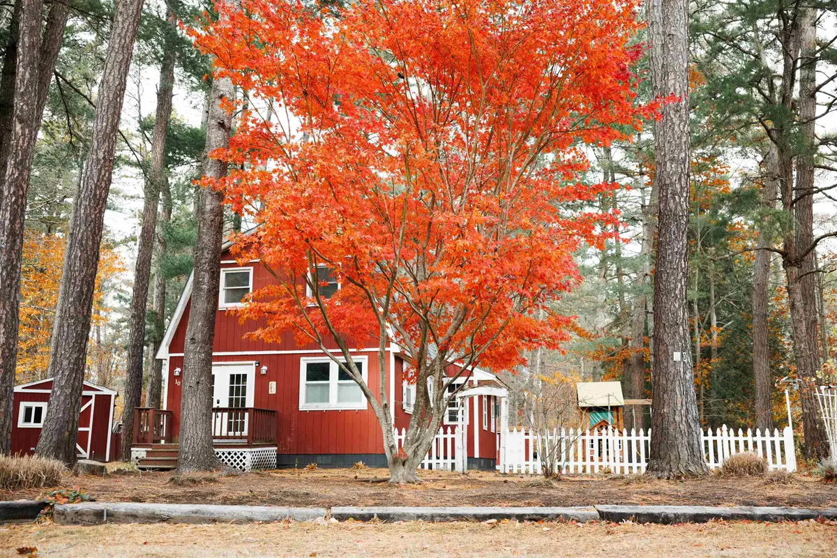 10 Margo Lane, Chocorua, NH 03817 - Image #1