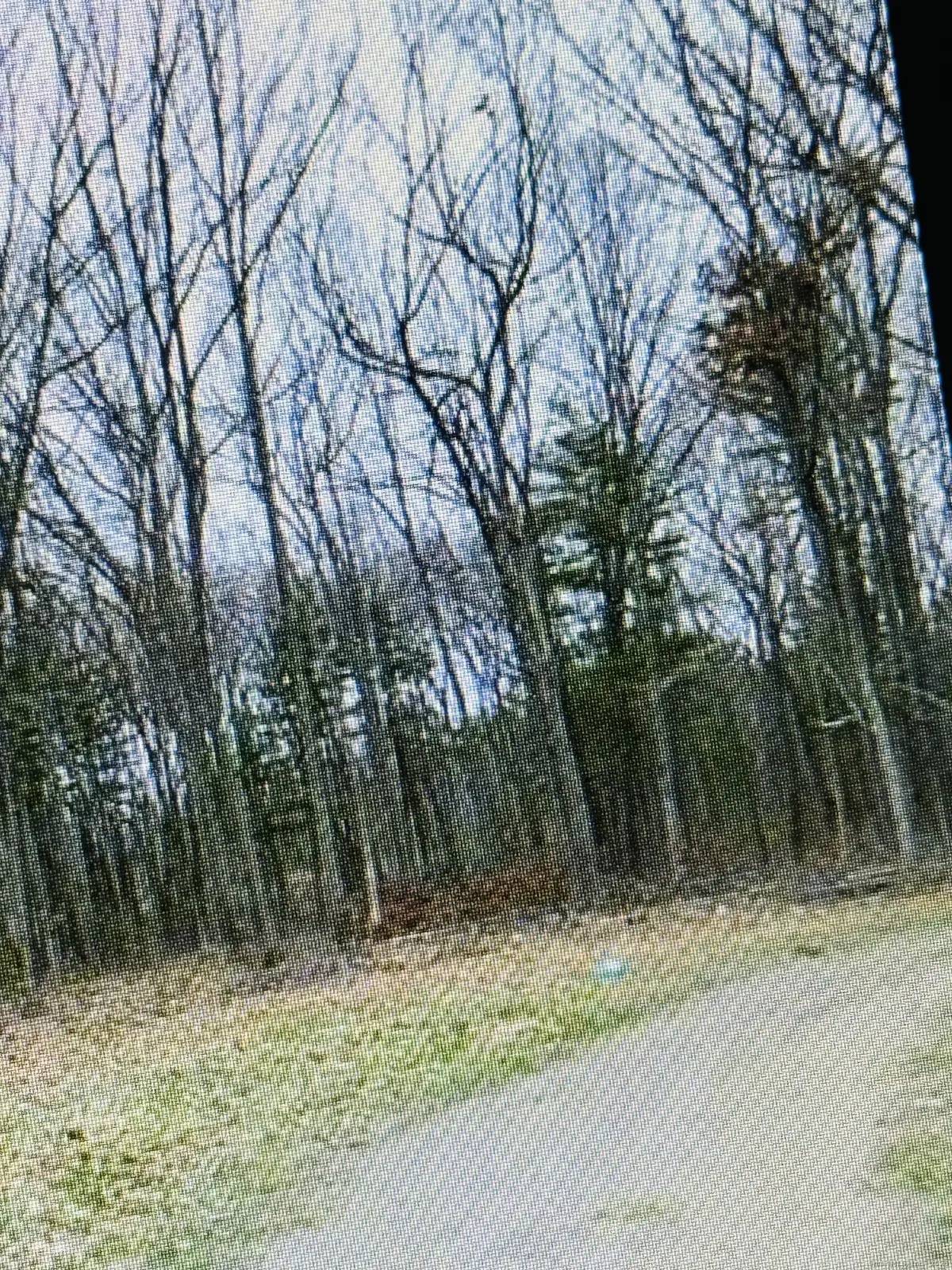 25 Matthew Lane, Windsor, CT 06095 - Image #1