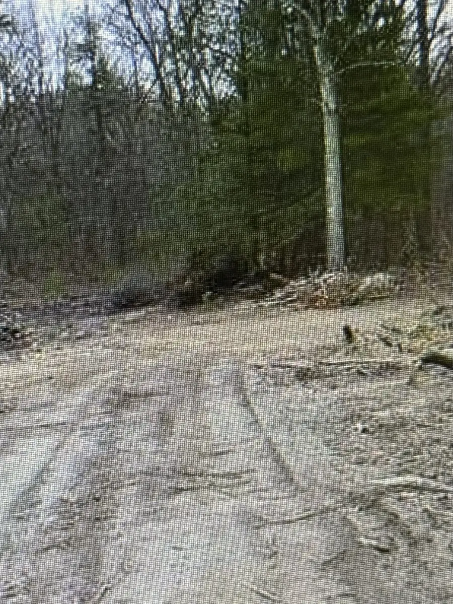 25 Matthew Lane, Windsor, CT 06095 - Image #2