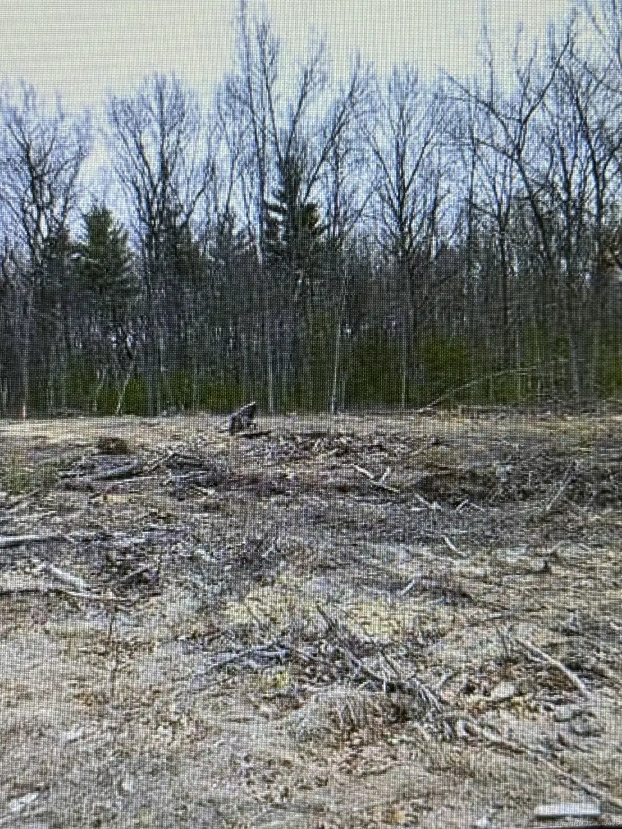 25 Matthew Lane, Windsor, CT 06095 - Image #3