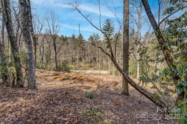 99999 Christa Lane #3, Arden, NC 28742
