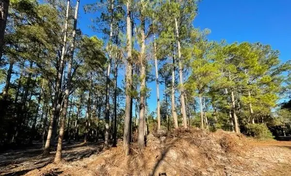 TBD NE 156th Lane, FORT MC COY, FL 32134